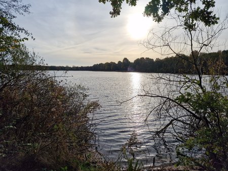 20221103_095015.jpg