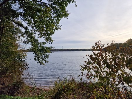 20221103_094354.jpg