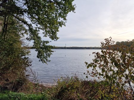 20221103_094415.jpg