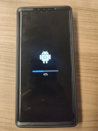 16676830178394278684796613899712.jpg