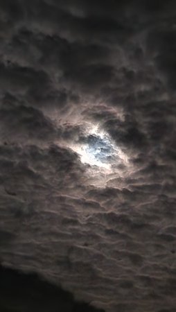 20221105_194832.jpg