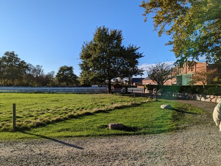 PXL_20221105_131021038.jpg