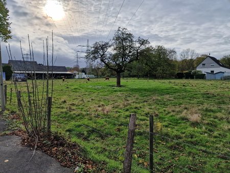 20221107_124425.jpg
