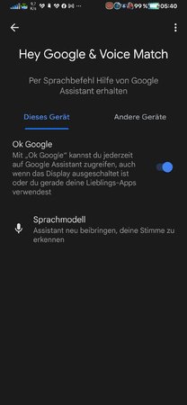 Screenshot_20221108_054046_com.google.android.googlequicksearchbox.jpg