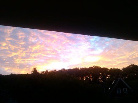 IMG_20121006_073634.jpg