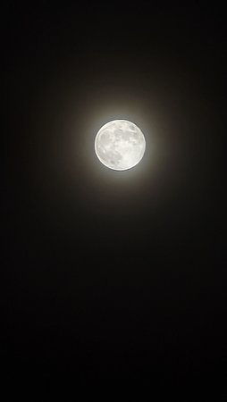 PXL_20221108_210341581.NIGHT~2.jpg