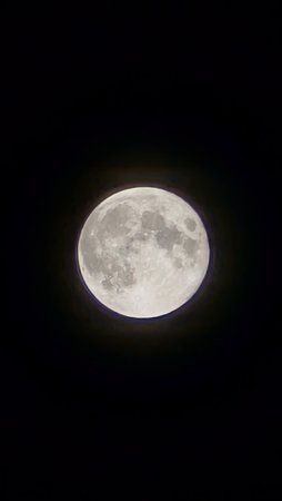 PXL_20221108_211143570.NIGHT~2.jpg