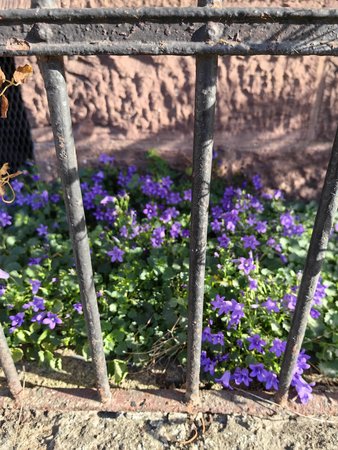 IMG_20221110_125723.jpg