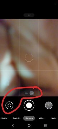 Screenshot_20221110-183613_Camera_1.jpg