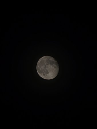 PXL_20221110_230241711.NIGHT.jpg