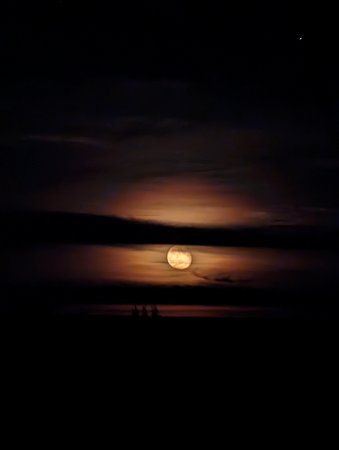 PXL_20221111_172936206.NIGHT.jpg
