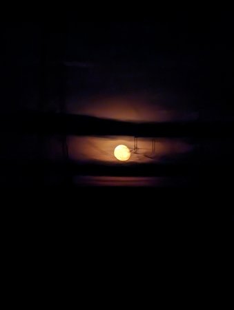 PXL_20221111_172721267.NIGHT.jpg