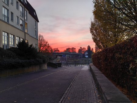 IMG_20221112_165206.jpg