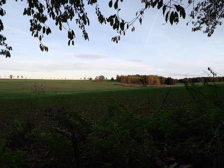 20221108_155616.JPG