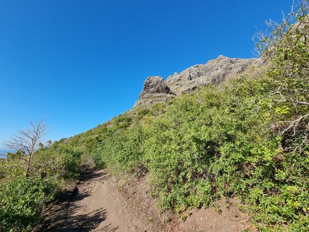 20221104_072912.jpg