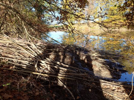 20221112_124446.jpg
