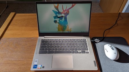 PXL_20221101_092404295.jpg