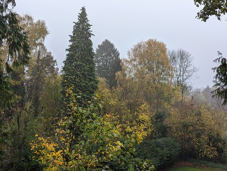 PSX_20221119_105530.jpg