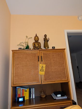 PXL_20221123_154932934.jpg