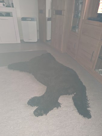 Foto mit Blitz.jpg