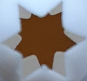 20221125_103735.jpg