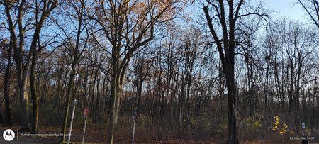 IMG_20221125_145720558.jpg