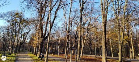 IMG_20221125_145725647.jpg