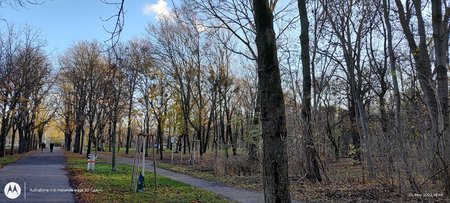 IMG_20221125_144628622_HDR.jpg
