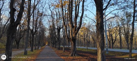 IMG_20221125_144638768.jpg