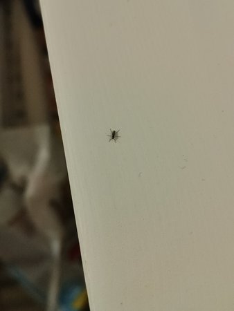 IMG20221125180315_062020.jpg