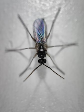 IMG20221125180402_062033.jpg