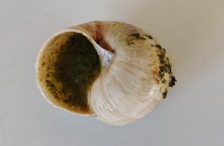 27.11.2022c.jpg