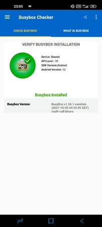 Screenshot_2022-11-28-23-05-38-921_com.rodolphestore.rootchecker.jpg