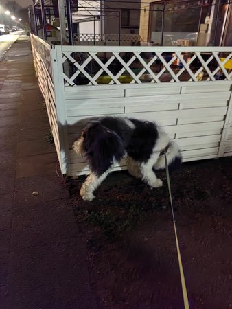 IMG_20221130_022142.jpg