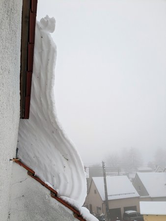 PXL_20221204_081521860.jpg
