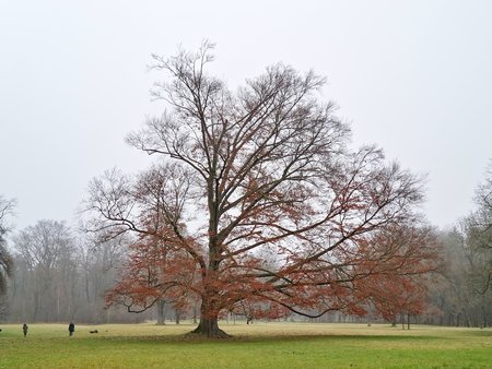 20221204_082328.jpg