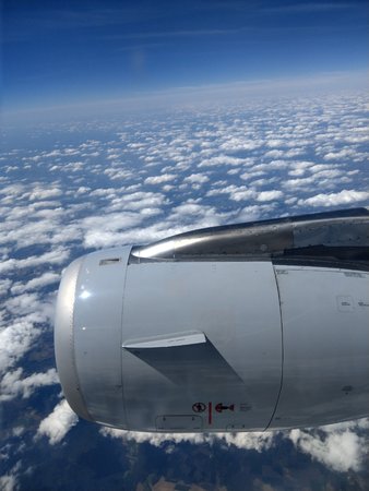 IMAG0314.jpg