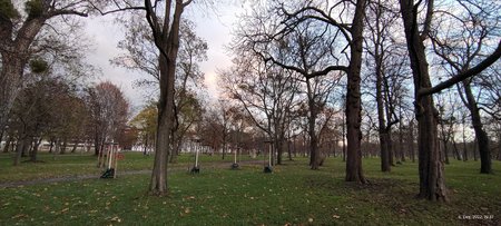 IMG_20221206_153746153.jpg