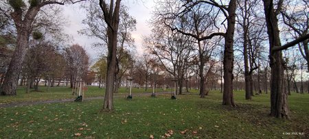 IMG_20221206_153712643.jpg