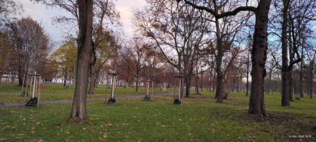 IMG_20221206_153719091.jpg