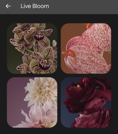 Screenshot_20221206-224524.png