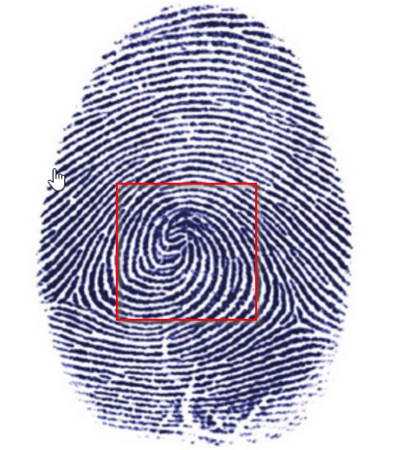 1670424107290.png