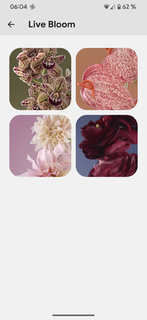 Screenshot_20221208-060437.png