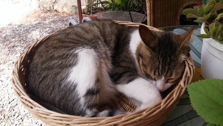 20150811_161610.jpg