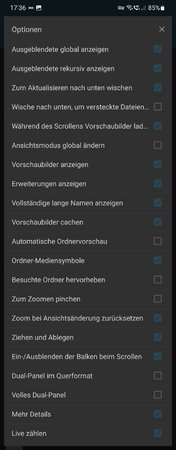 Ansicht Optionen.jpg
