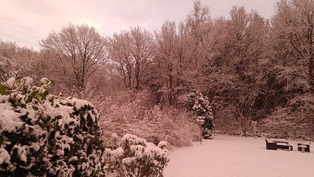 IMG20221209083123.jpg