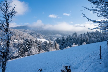DSC_2473.jpg