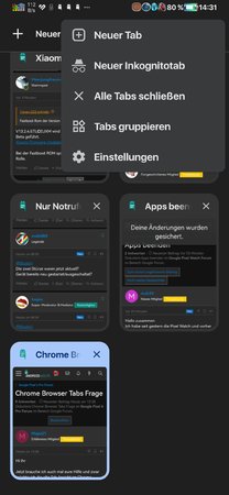 Screenshot_20221213_143117_com.android.chrome.jpg