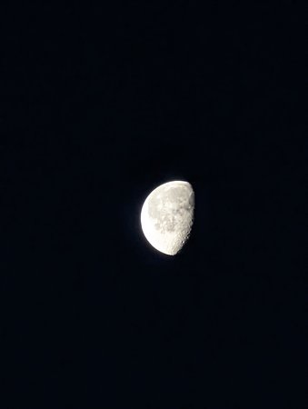 PXL_20221214_070957737~2.jpg
