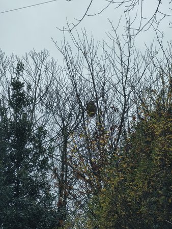 IMG_20221216_122419.jpg
